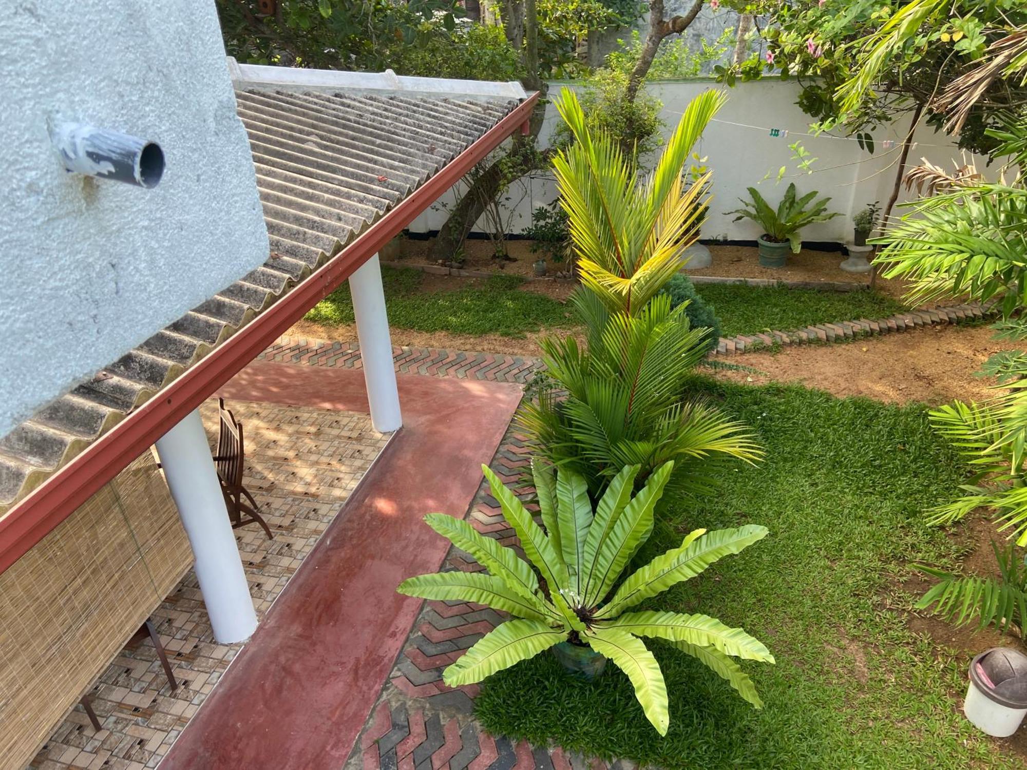 Mirissa Gold Rush Villa Extérieur photo