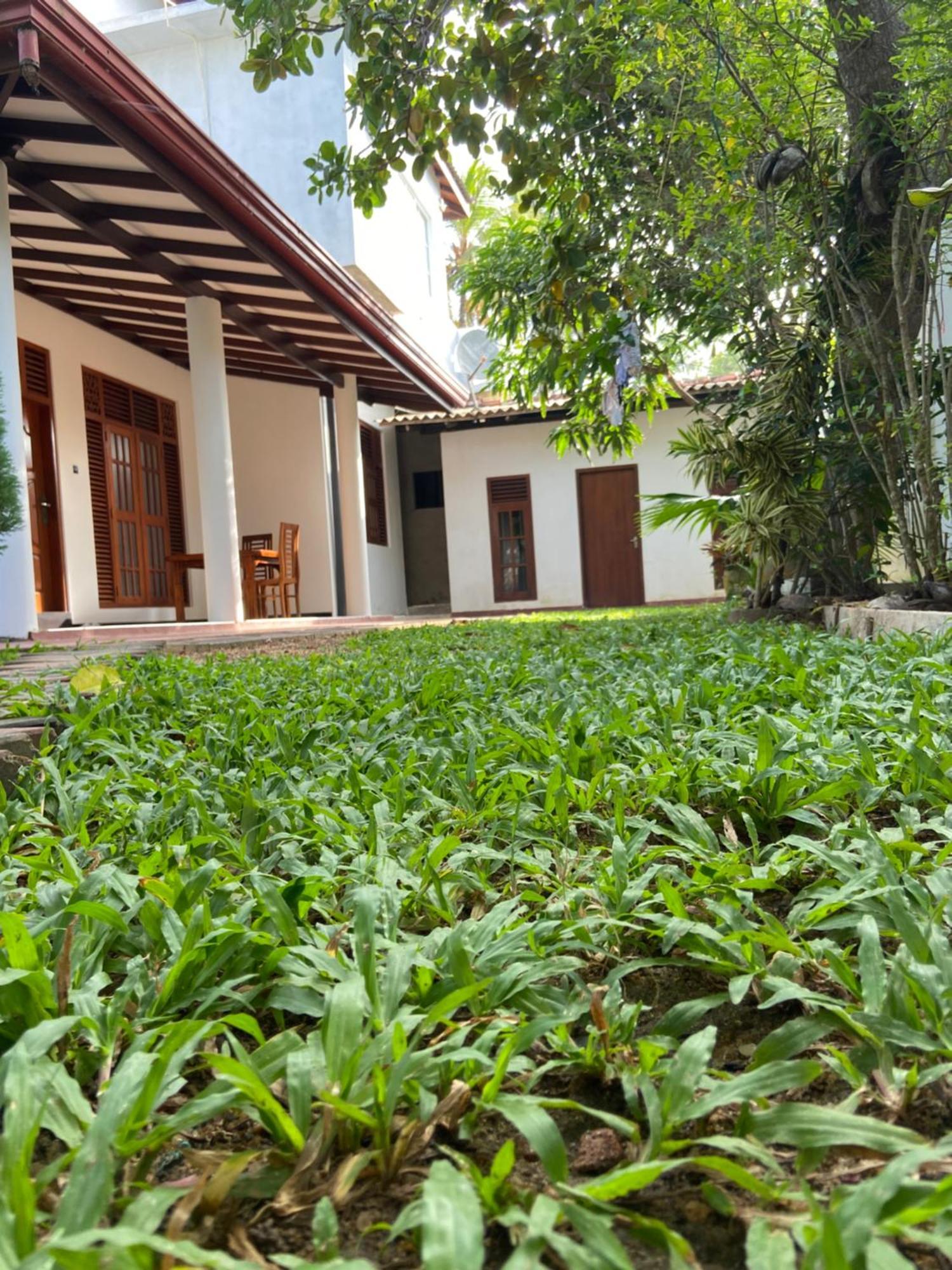 Mirissa Gold Rush Villa Extérieur photo